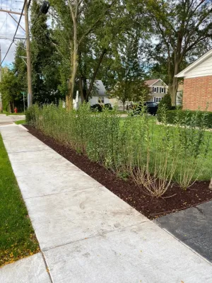 Whitetail Landscapes Inc. - Landscape Construction in Cary, IL