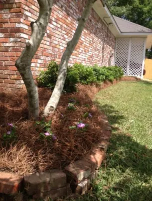 Whole 9 Yards Services - Landscape Construction in Madison, MS