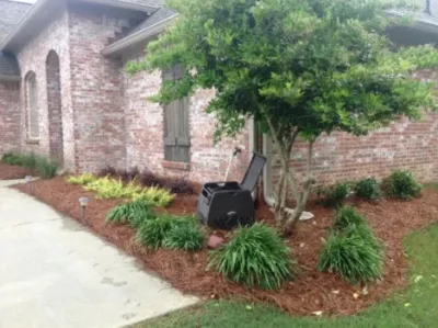 Whole 9 Yards Services - Landscape Construction in Madison, MS