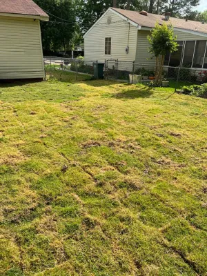 Williams Irrigation & Landscaping - Landscape Construction in Ridgeland, MS