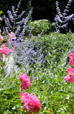 Perennial Gardens — Landscape Design project by Angela Rose Gardens LLC