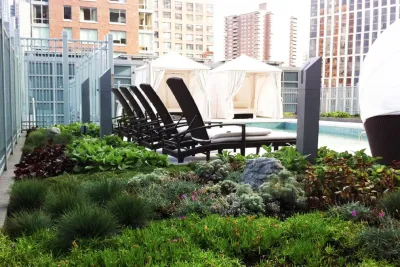 BPC Liberty Luxe and Liberty Green — Landscape Design project by PFI - Plant Fantasies, Inc