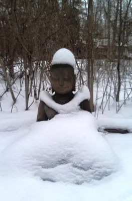 Winter Images by Daryl Toby - AguaFina Gardens International