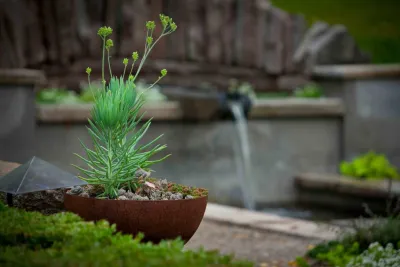 Daryl Toby - AguaFina Gardens International - Outdoor Lighting Installation in Sylvan Lake, MI