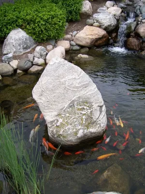 Daryl Toby - AguaFina Gardens International - Outdoor Lighting Installation in Sylvan Lake, MI