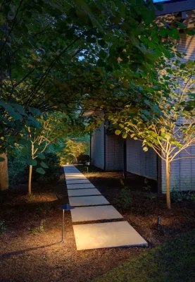 Garden for a Mid Century Home by Daryl Toby - AguaFina Gardens International
