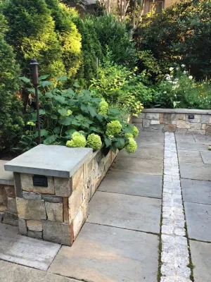Barbara Balman Landscape Design - Landscape Design in Washington, 