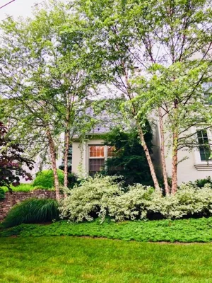 Barbara Balman Landscape Design - Landscape Design in Washington, 