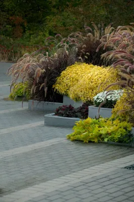 Modern Planter Boxes — Landscape Design project by Daryl Toby - AguaFina Gardens International