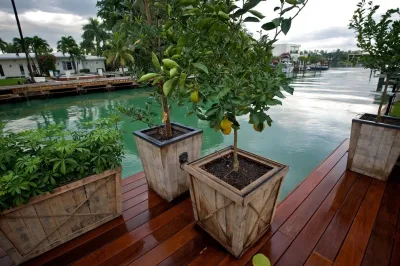 David Font Design - Outdoor Lighting Installation in Coral Springs, FL