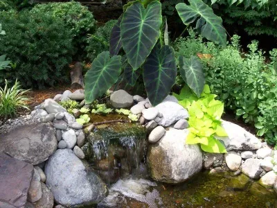 Beaver Pond Lawn & Landscape Ltd - Landscape Design in Glen Burnie, MD