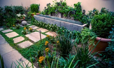 Berghoff Design Group - Landscape Design in Scottsdale, AZ