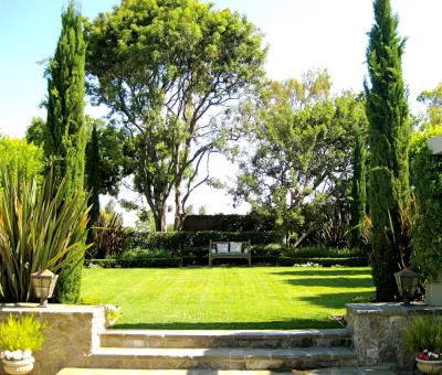 David Pedersen, Inc. - Landscape Design in Newport Beach, CA