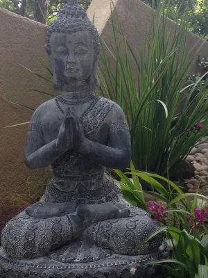 BEvolved Consulting - Landscape Design in Honolulu, HI