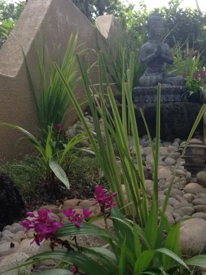 Home Staging — Landscape Design project by BEvolved Consulting