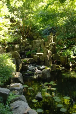 BEvolved Consulting - Landscape Design in Honolulu, HI