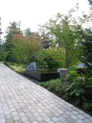 Native Plants + Natural Environments — Landscape Design project by BEvolved Consulting