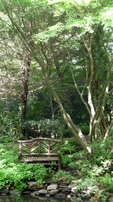 David R. Lamb, Landscape Architect - Patio Design & Installation in Mill Neck, NY