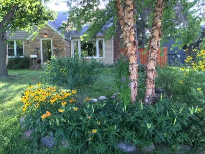 ReWild Native Gardens, LLC - Garden Remodeling in Bloomington, IL