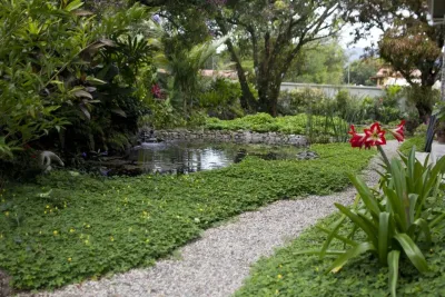 Bloom Sarasota - Landscape Design in Sarasota, FL