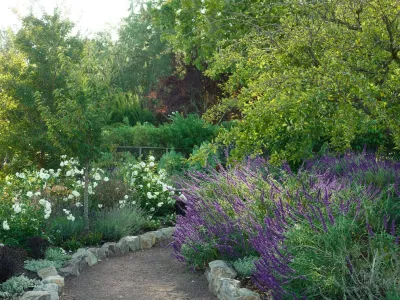 David Thorne Landscape Architect - Patio Design & Installation in Oakland, CA