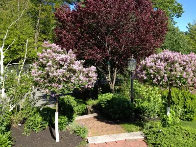 Bloomshell, LLC - Landscape Design in Harwich, MA