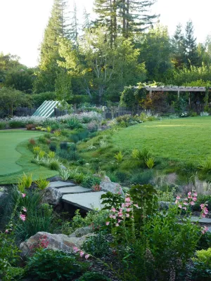 David Thorne Landscape Architect - Patio Design & Installation in Oakland, CA