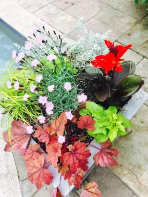 Davida Landscape Designs Llc - Garden Remodeling in Stamford, CT