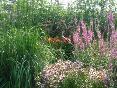 Davis Landscape Design LLC - Garden Remodeling in Wainscott, NY