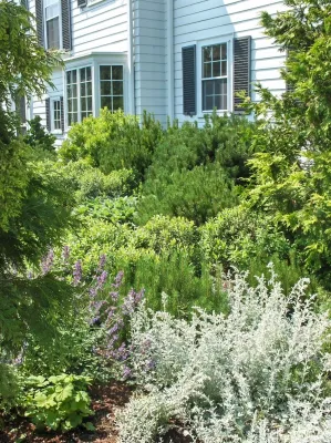 Ann Kearsley Design - Landscape Design in Portland, ME