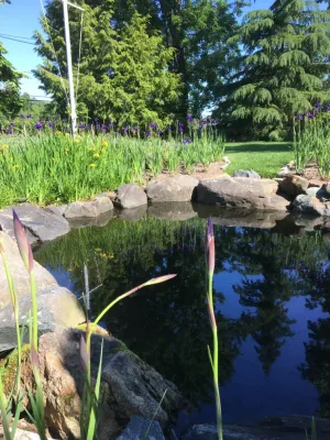 Annabelle Sailer Garden Design - Landscape Design in Annapolis, MD