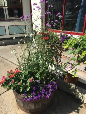 Annabelle Sailer Garden Design - Landscape Design in Annapolis, MD
