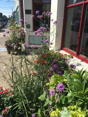 Planters — Landscape Design project by Annabelle Sailer Garden Design