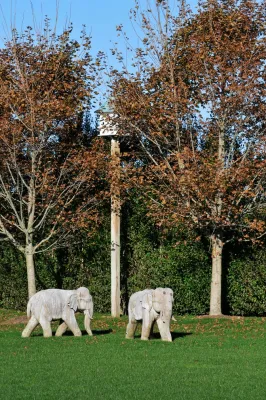 Modern Rustic Sagaponack — Landscape Design project by Davis Landscape Design LLC in Sagaponack