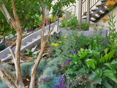 Bowman Landscape Design - Landscape Design in Los Angeles, CA