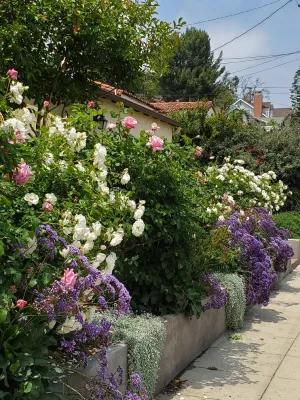 Bowman Landscape Design - Landscape Design in Los Angeles, CA