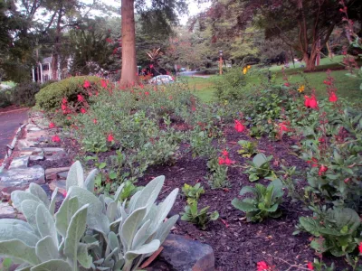 Brenton Landscape Architecture - Landscape Design in Baltimore, MD