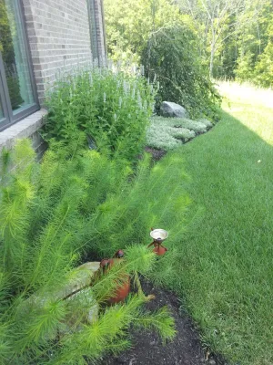 Brentwood Landscape & Design Incorporated - Landscape Design in Alexandria, KY
