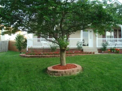 C.E. Landscaping - Landscape Design in Atlanta, GA