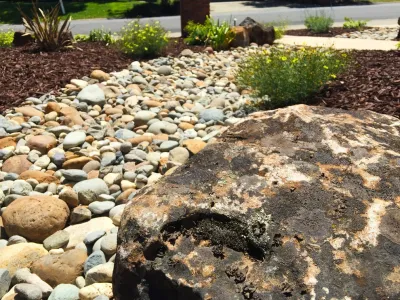 Lawn-B-Gone #3 — Landscape Design project by Cal Wild Landscape Design in Fair Oaks
