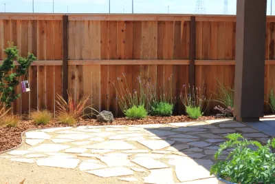 DIY Family Backyard — Landscape Design project by Cal Wild Landscape Design in Rancho Cordova