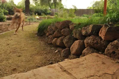 Cal Wild Backyard — Landscape Design project by Cal Wild Landscape Design
