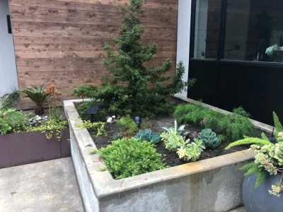 Contemporary Mountain Woodland — Landscape Design project by Cal Wild Landscape Design