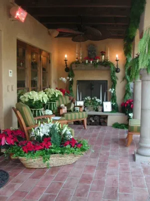 California Horticulture - Landscape Design in Campbell, CA