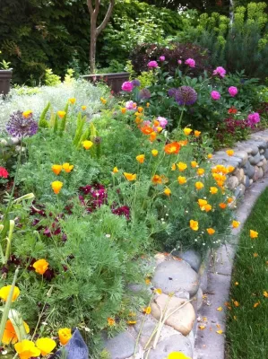 Candace Schuncke Landscape Designer - Landscape Design in Sacramento, CA