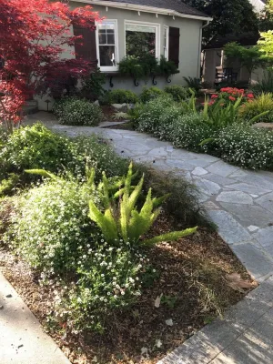 Candace Schuncke Landscape Designer - Landscape Design in Sacramento, CA