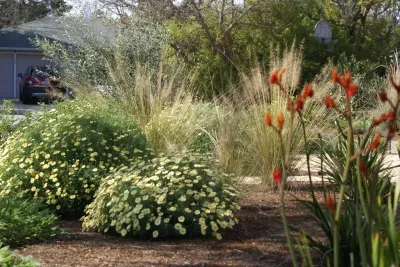 Deanna Foster Landscape Design - Landscape Design in Los Angeles, CA