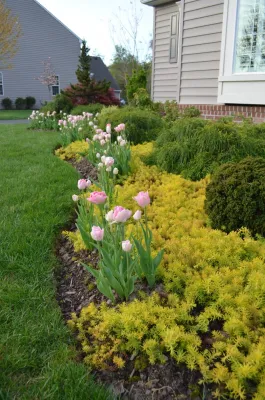 Capital Gardenkeepers LLC - Landscape Design in Washington, 