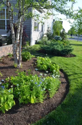 Capital Gardenkeepers LLC - Landscape Design in Washington, 
