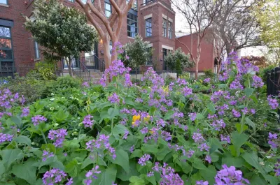 Capital Gardenkeepers LLC - Landscape Design in Washington, 